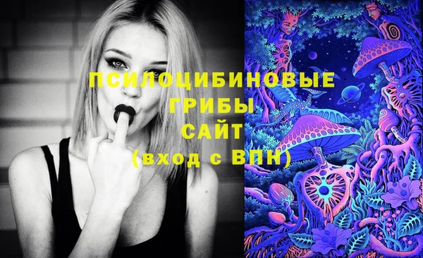 МДПВ Армянск