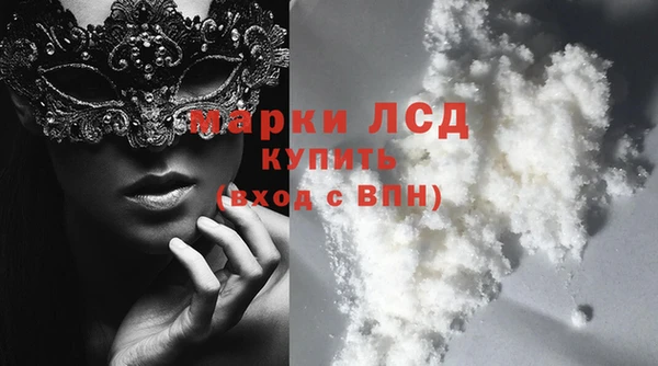 ECSTASY Алзамай