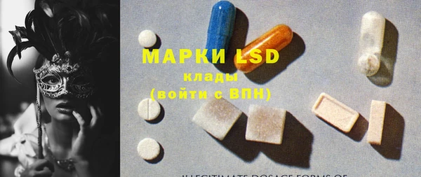 ECSTASY Алзамай