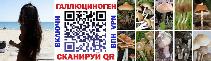Псилоцибиновые грибы MAGIC MUSHROOMS  Лесной 