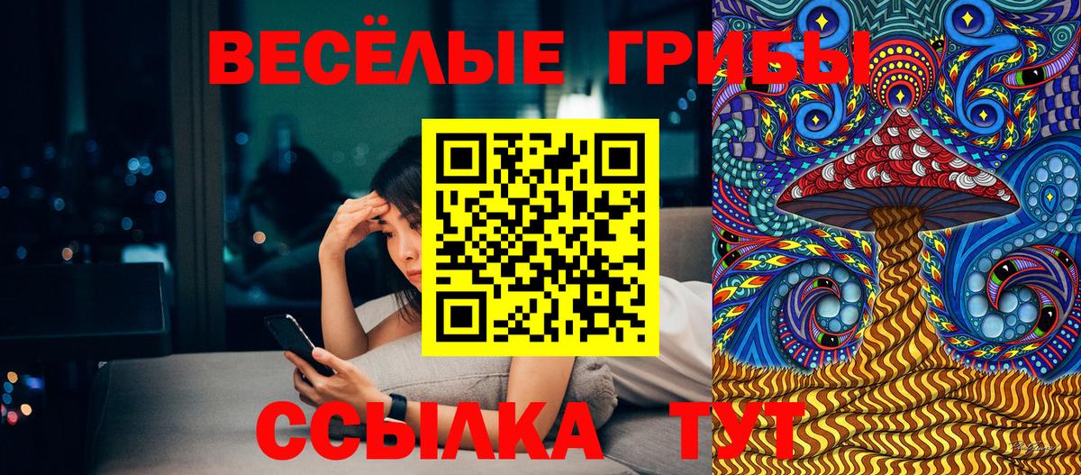 Псилоцибиновые грибы Cubensis Лесной